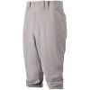 Mizuno Youth Select Short Pant - Gray Baseball 1 Mizuno Youth Select Short Pant - Gray Baseball