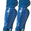Baseball ProNine ProLine Catcher's Leg Guards - Royal