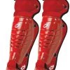 Baseball ProNine ProLine Catcher's Leg Guards - Red