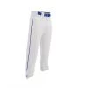 Easton Adult Rival 2 Piped Baseball Pants - White Royal