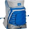 Rawlings R800 Softball Backpack - Gray Royal
