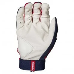 Franklin Digitek Youth Batting Gloves - USA